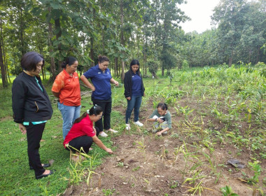 กองประสานงานโครงการพระราชดำริ ลงพื้นที่ ... พารามิเตอร์รูปภาพ 8